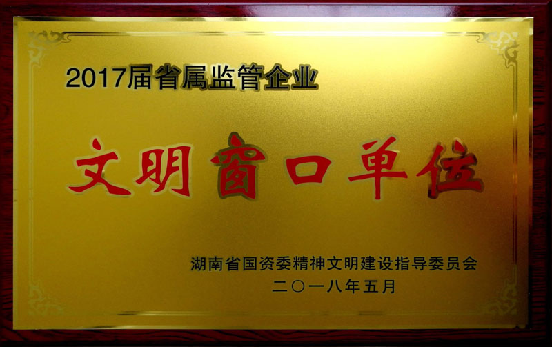 环球体育官方网站中国有限公司集团养老产业有限公司荣获“省属监管企业文明窗口单位”称号